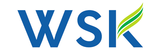 WSK DEVELOPMENT PTE LTD